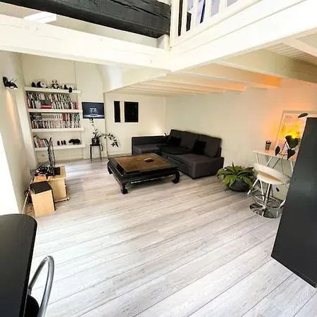 Coeur Feydeau Kervegan Le Duplex Hyper Centre דירה נאנט