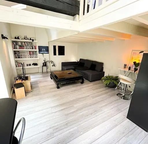 Coeur Feydeau Kervegan Le Duplex Hyper Centre Διαμέρισμα Ναντ