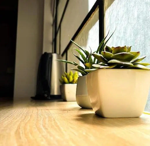 Coeur Feydeau Kervegan Le Duplex Hyper Centre דירה *